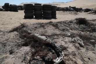 WhatsApp Image 2025-03-31 at 16.28.04 (1).jpeg